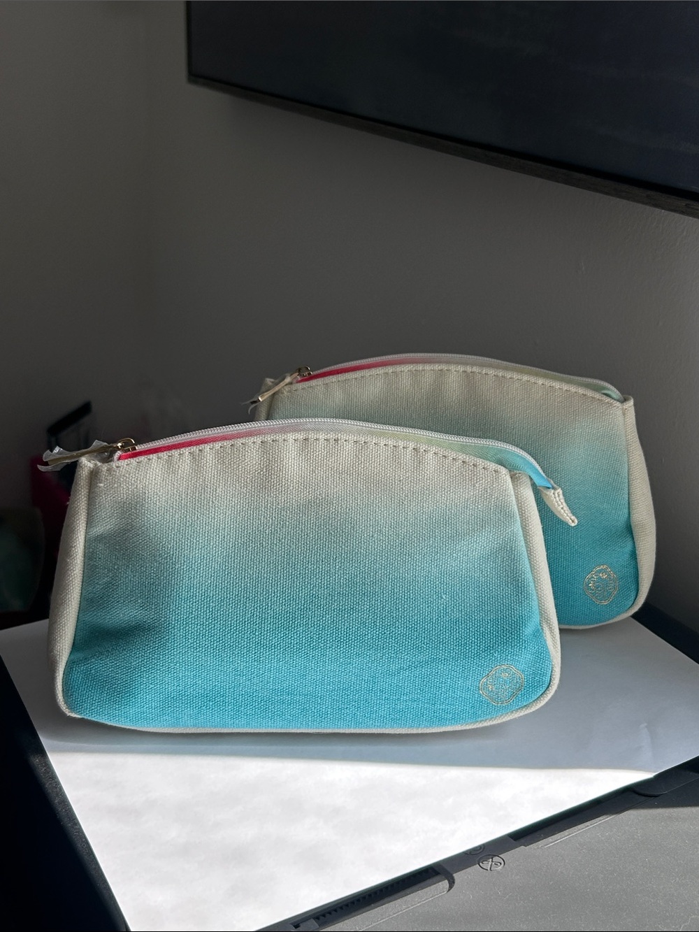 2/$10 Shiseido Canvas Ombre Cosmetic Pouch